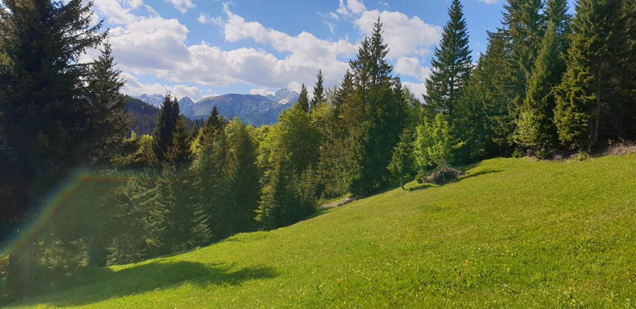 Mountain Eco Chalet Konjska Dolina On 1400 M Asl -Near Pokljuka Srednja Vas v Bohinju Exterior foto