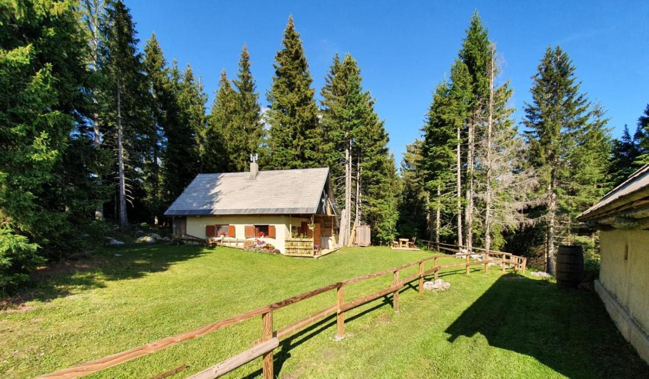Mountain Eco Chalet Konjska Dolina On 1400 M Asl -Near Pokljuka Srednja Vas v Bohinju Exterior foto